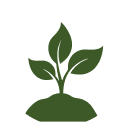 Mega Plantation Drive icon